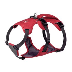 Pet Harness Dog Hand Holding Rope (Option: Red-XXS)