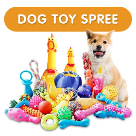 Pet Supplies Pet Toys Mystery Box Randomly Send Products (Quantity: 6)